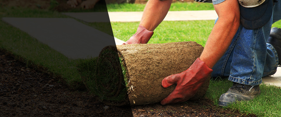 Nantucket Landscapers